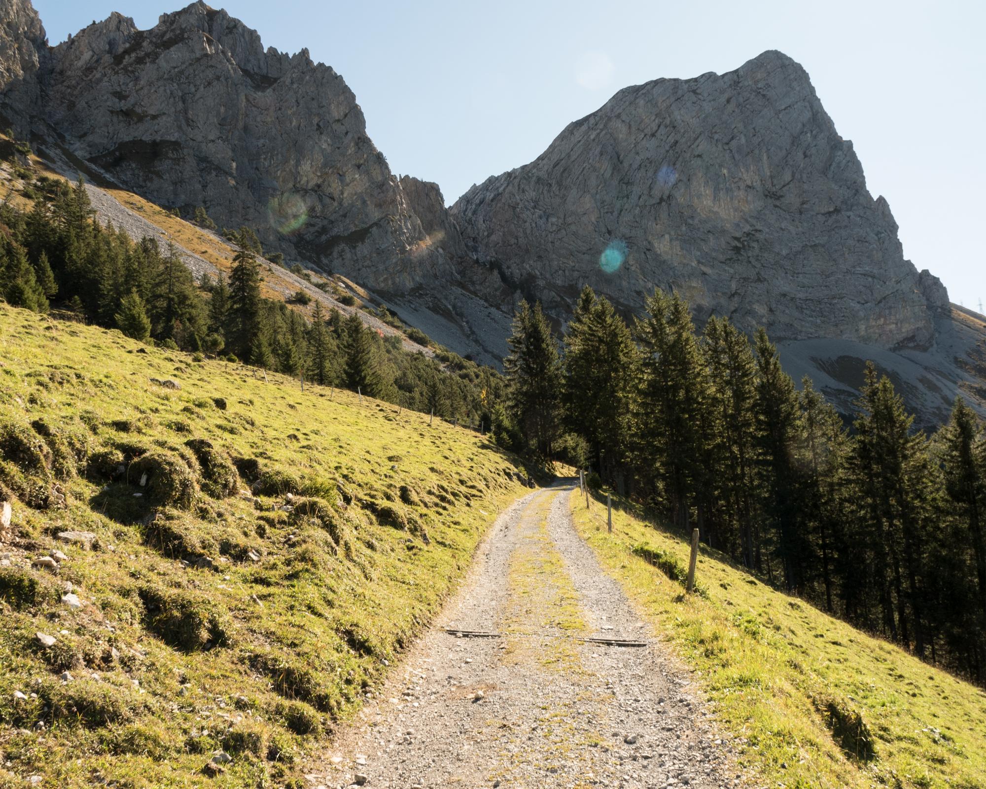 trans swiss trail suisse anti aging aubrey de grey anti-imbatranire