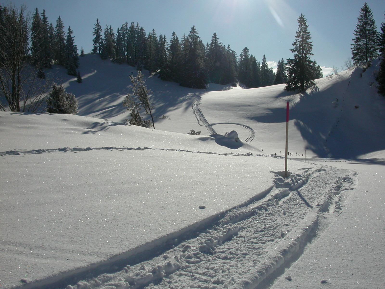 La Chaux De Fonds Le Locle La Chaux De Fonds Neuchatel Tourisme Suisse Raquettes A Neige