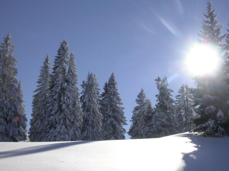 La Chaux Du Milieu Le Prevoux La Chaux Du Milieu Le Prevoux Neuchatel Tourisme Suisse Raquettes A Neige