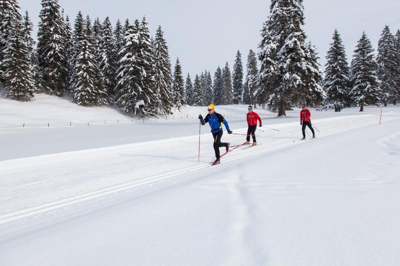 Pouillerel La Chaux De Fonds Foux Neuenburg Tourismus Schweiz Langlauf