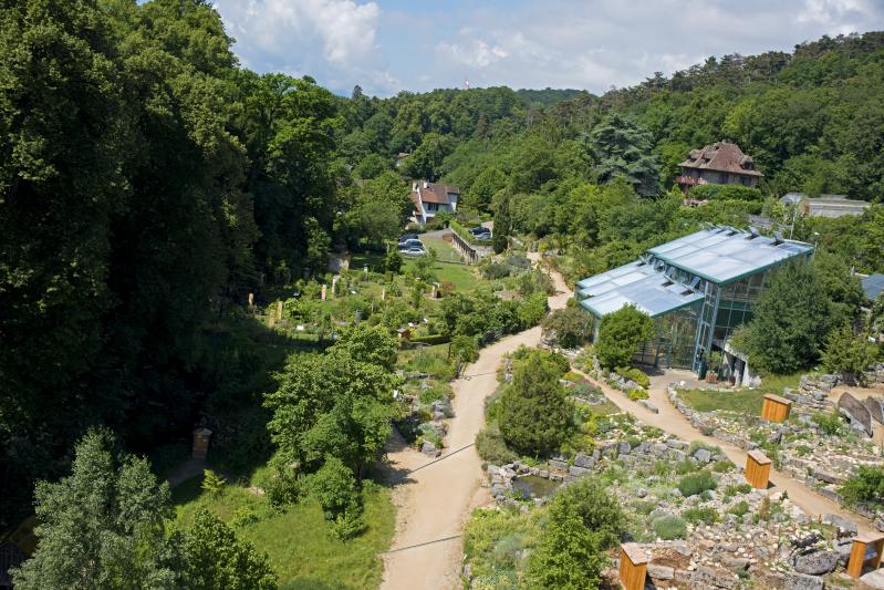 Botanical Garden, Neuchâtel | Neuchatel Tourism (CH) | Museum
