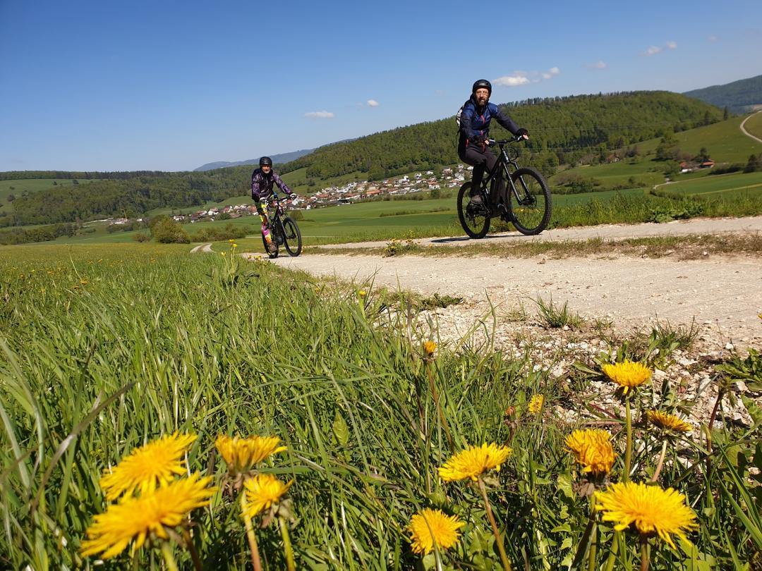 E-Bike rental