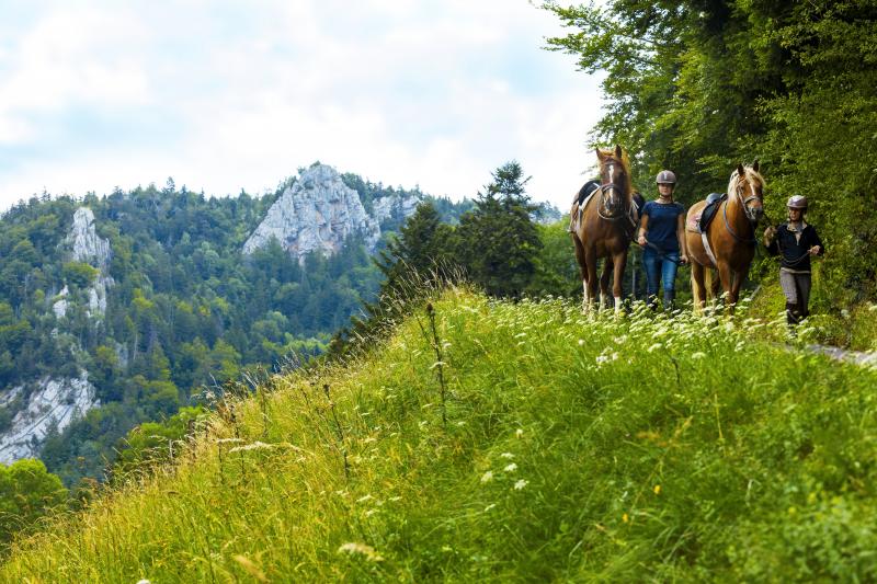 A Cheval Du Doubs Aux Franches Montagnes Montfaucon Jura