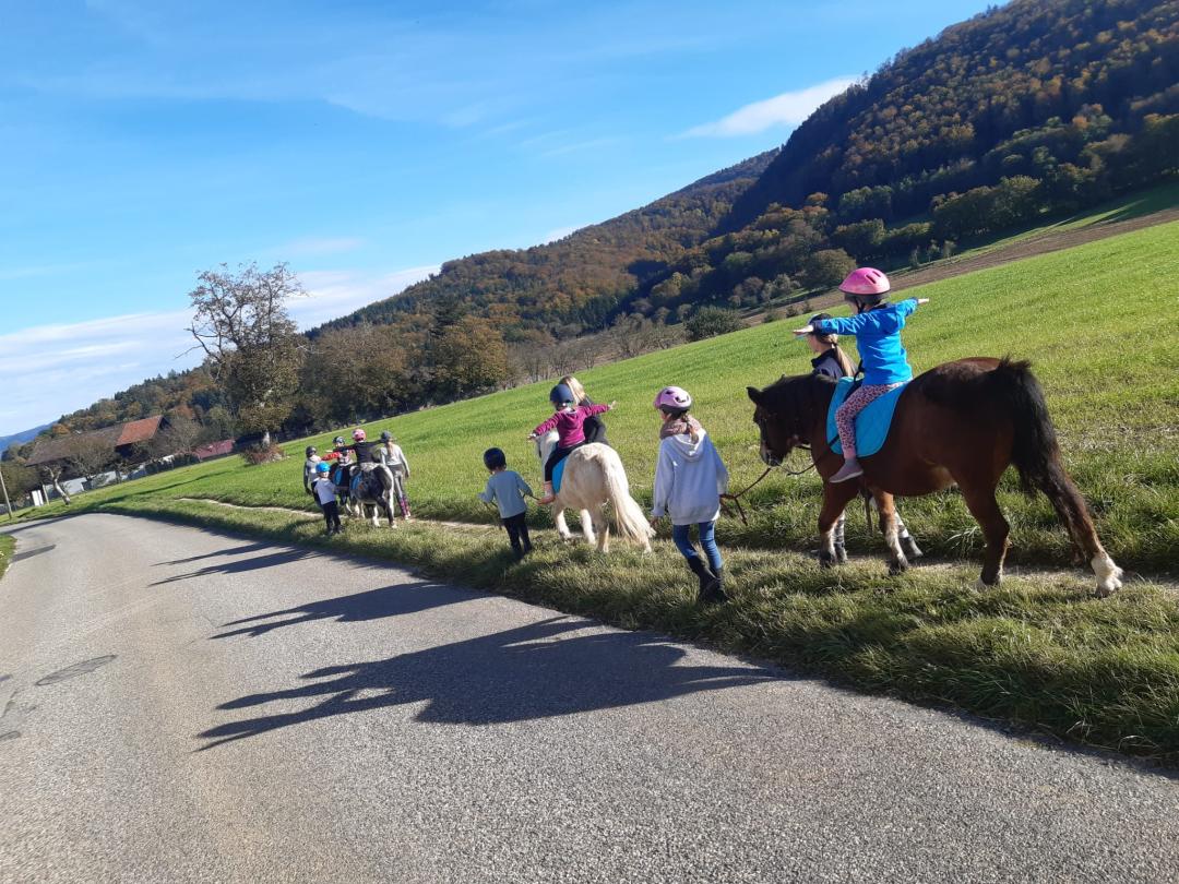 Accompanied pony ride