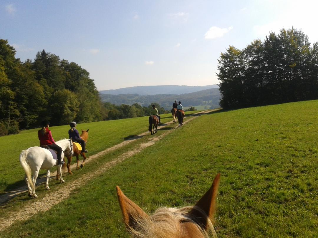 Horseback or pony ride - Bressaucourt