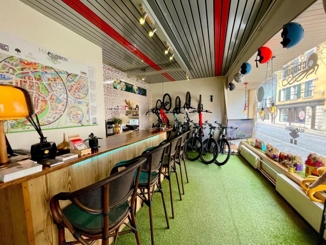 Electric or regular bike rental