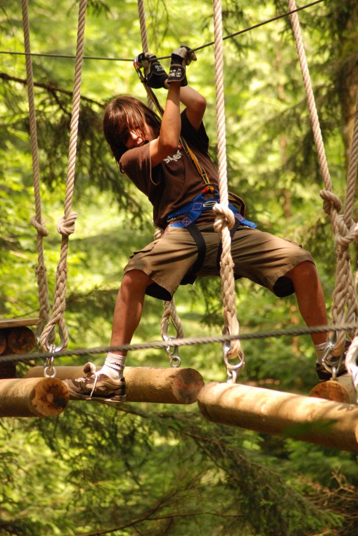 Entry to treetop adventure course