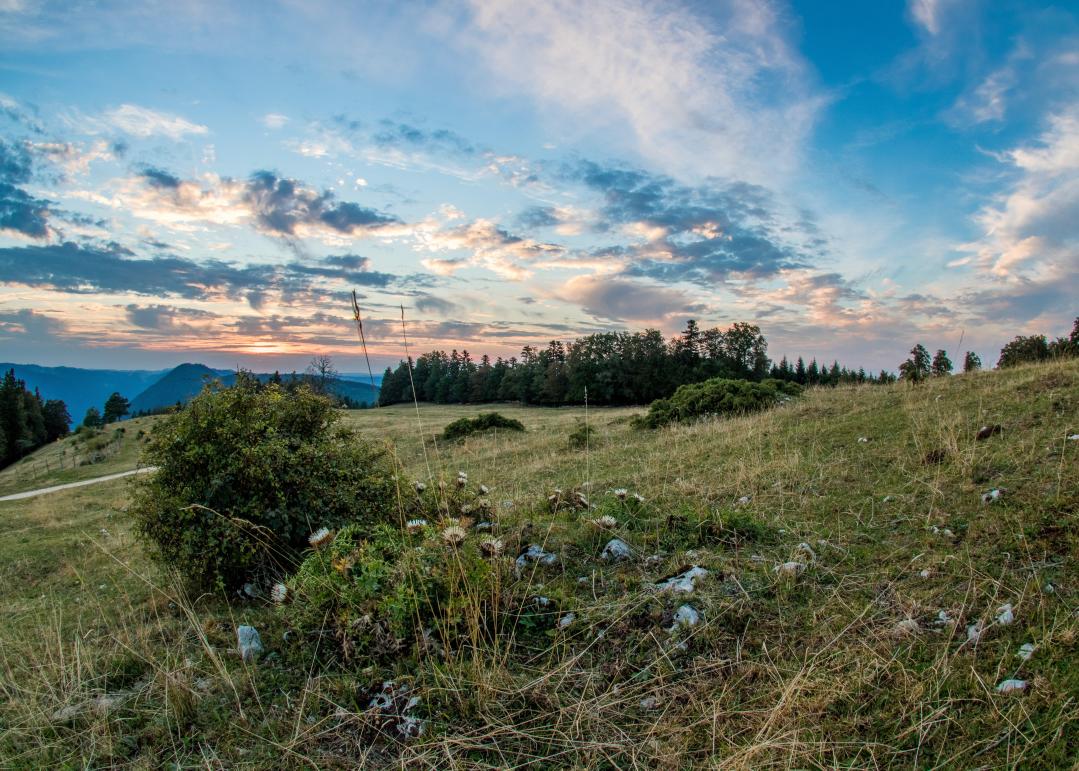 Geführte Wanderung auf Wellness-Routen