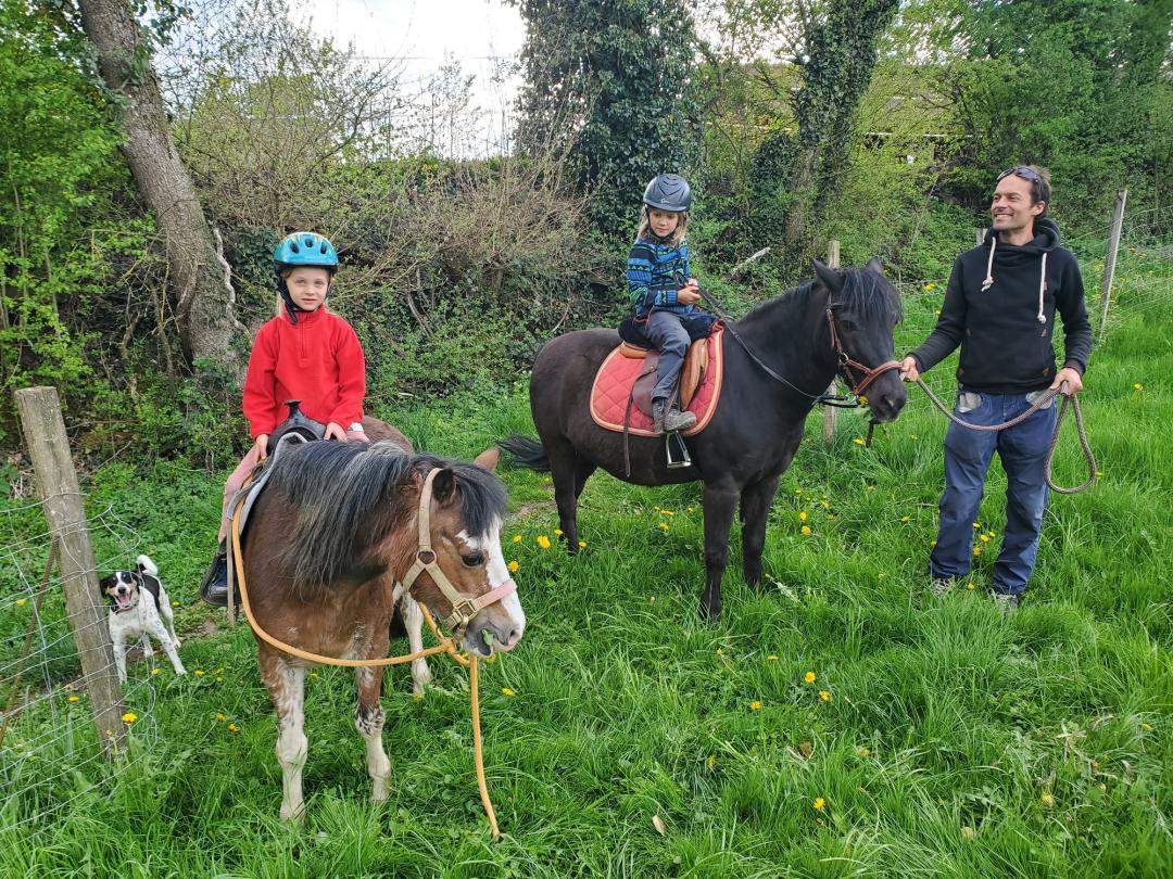 Accompanied pony ride