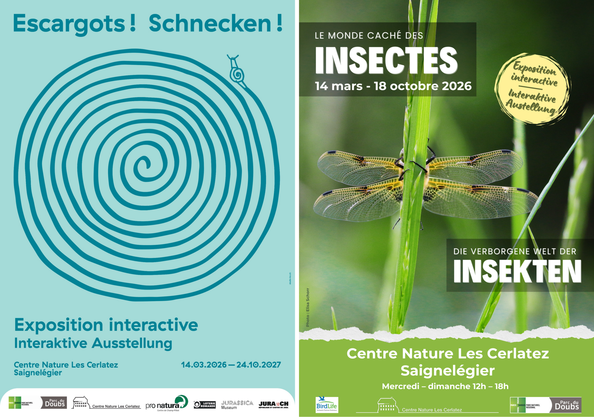 Insectes et escargots : deux nouvelles expositions au Centre Nature Les Cerlatez