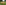 Excursion champignons