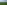 Labyrinthe de maïs Frienisberg