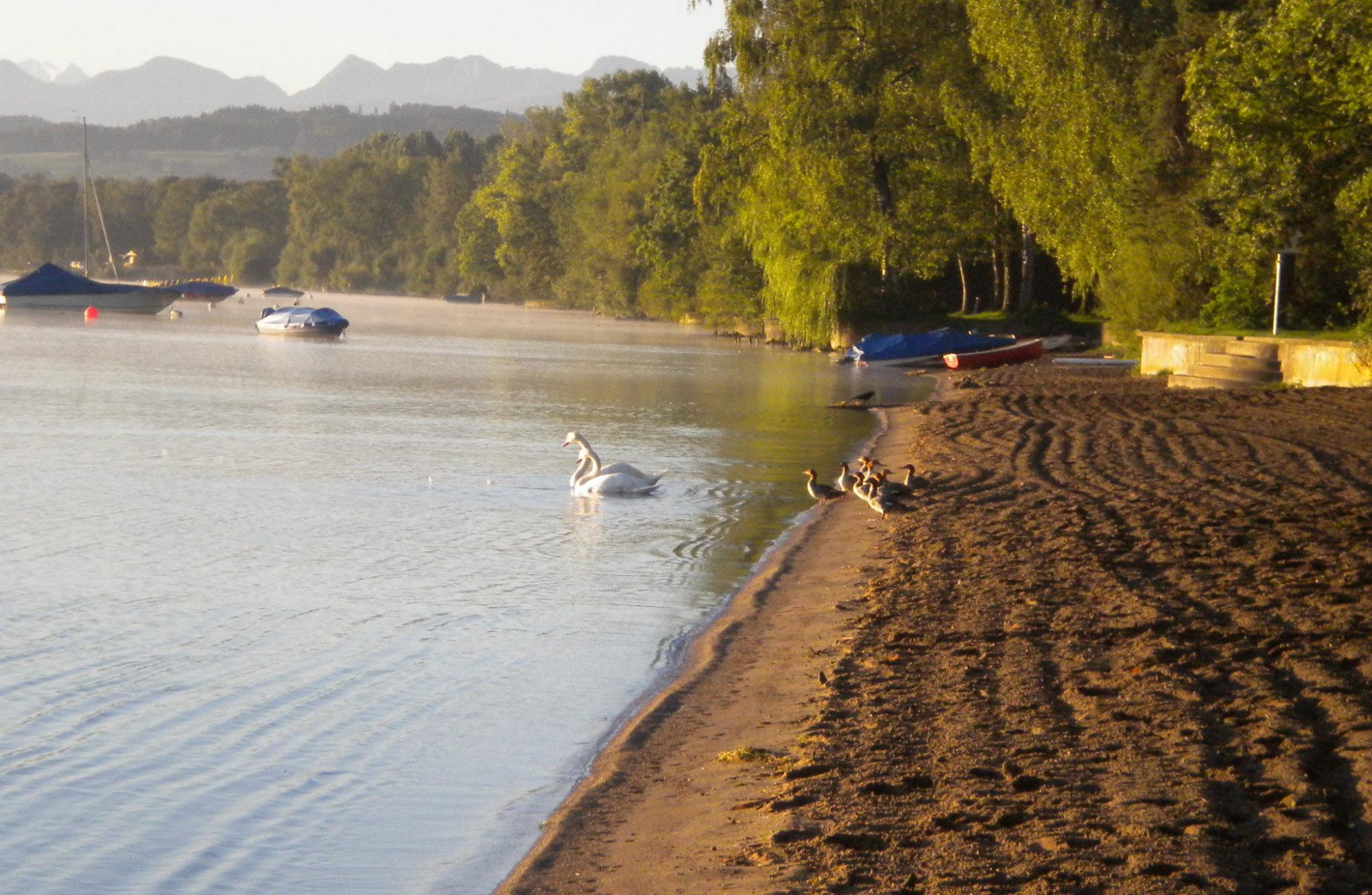 Salavaux Beach
