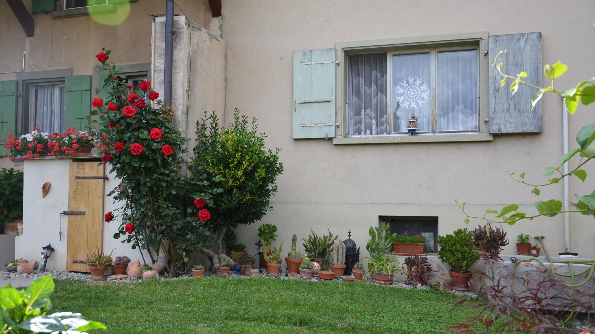 La Magie de la Ferme