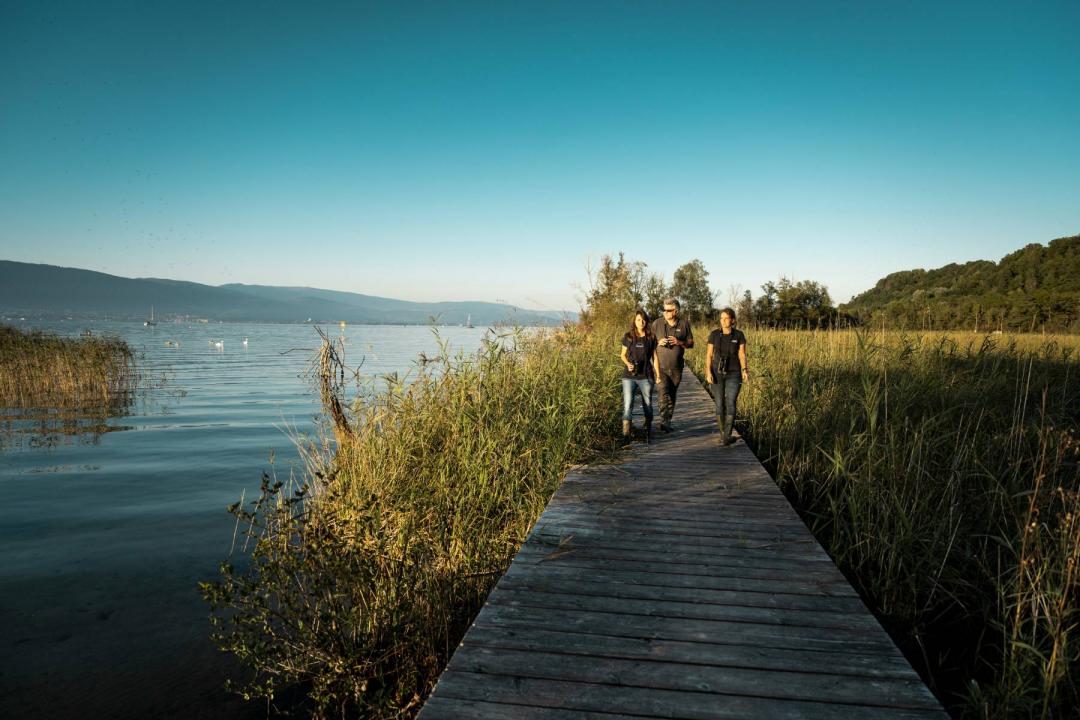 Ponton im Dorf Cheyres, im Naturschutzgebiet Grande Cariçaie