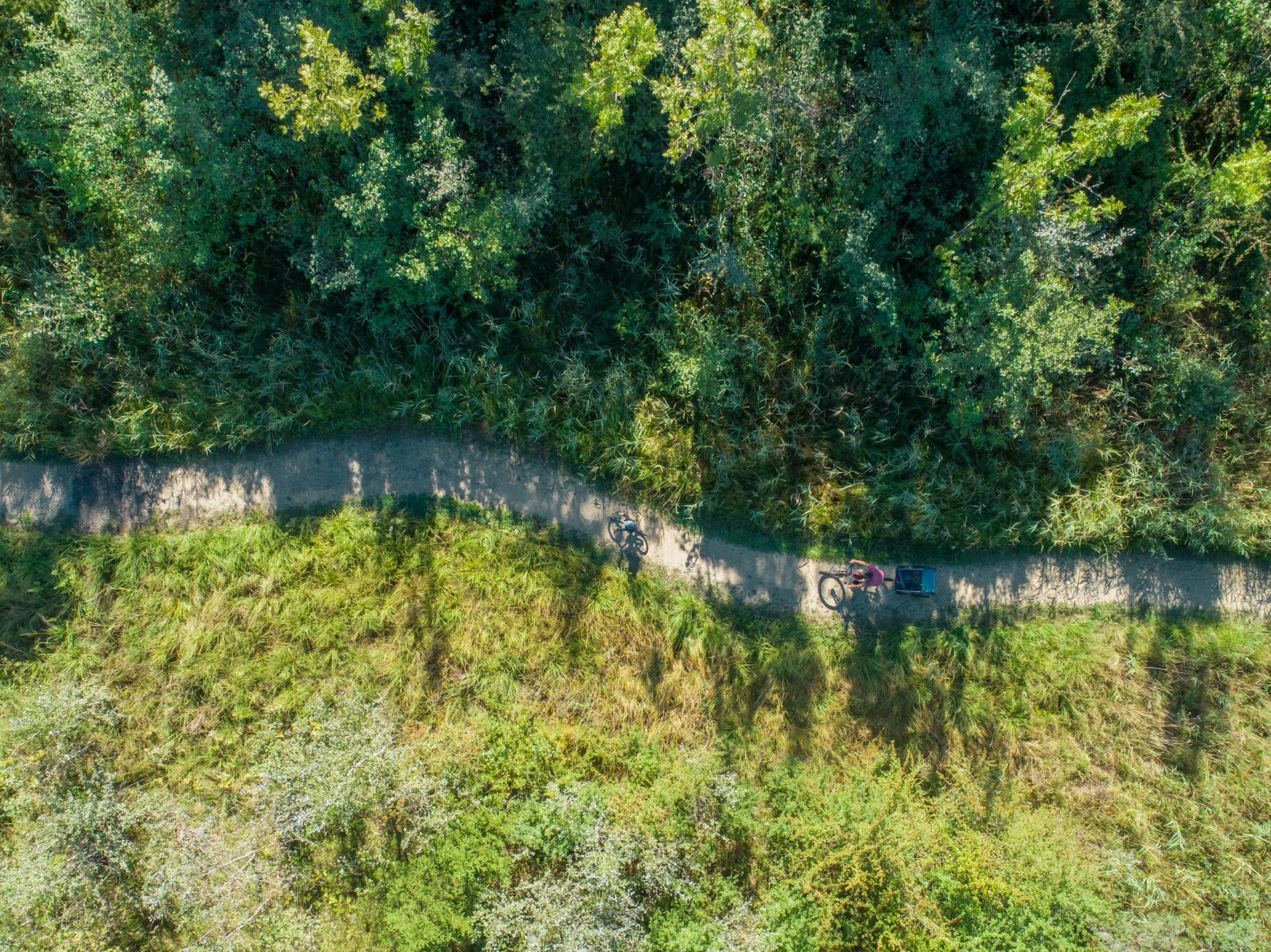 A vélo dans la Grande Cariçaie