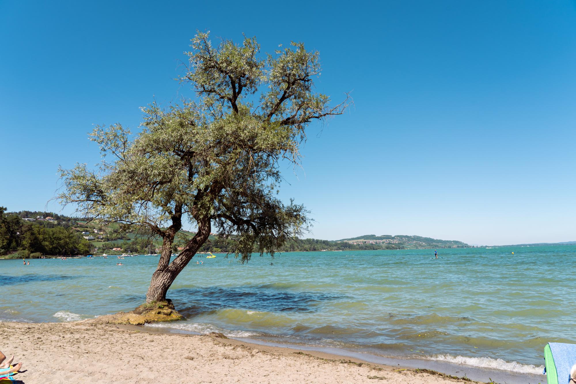 Salavaux Beach