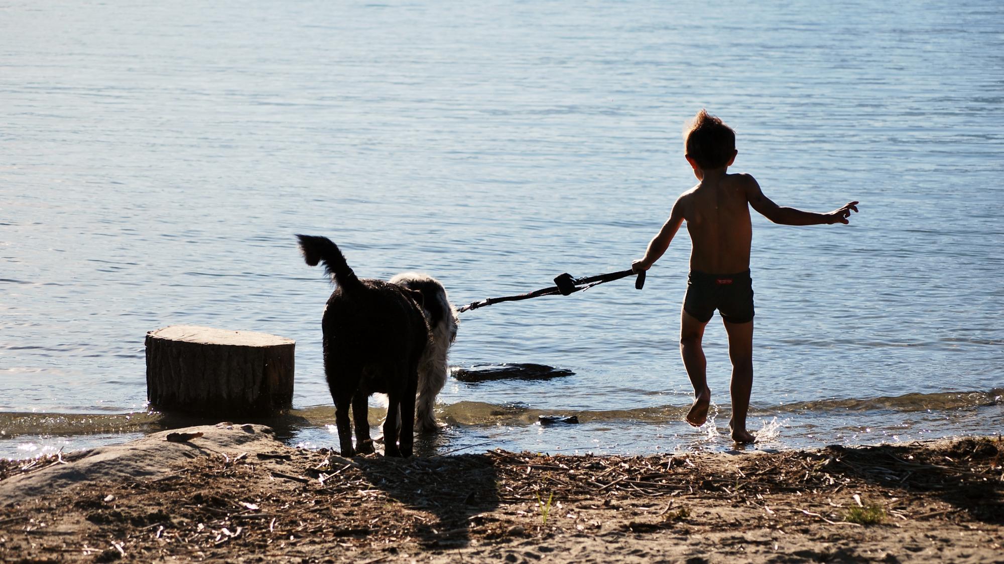 Plage de Forel