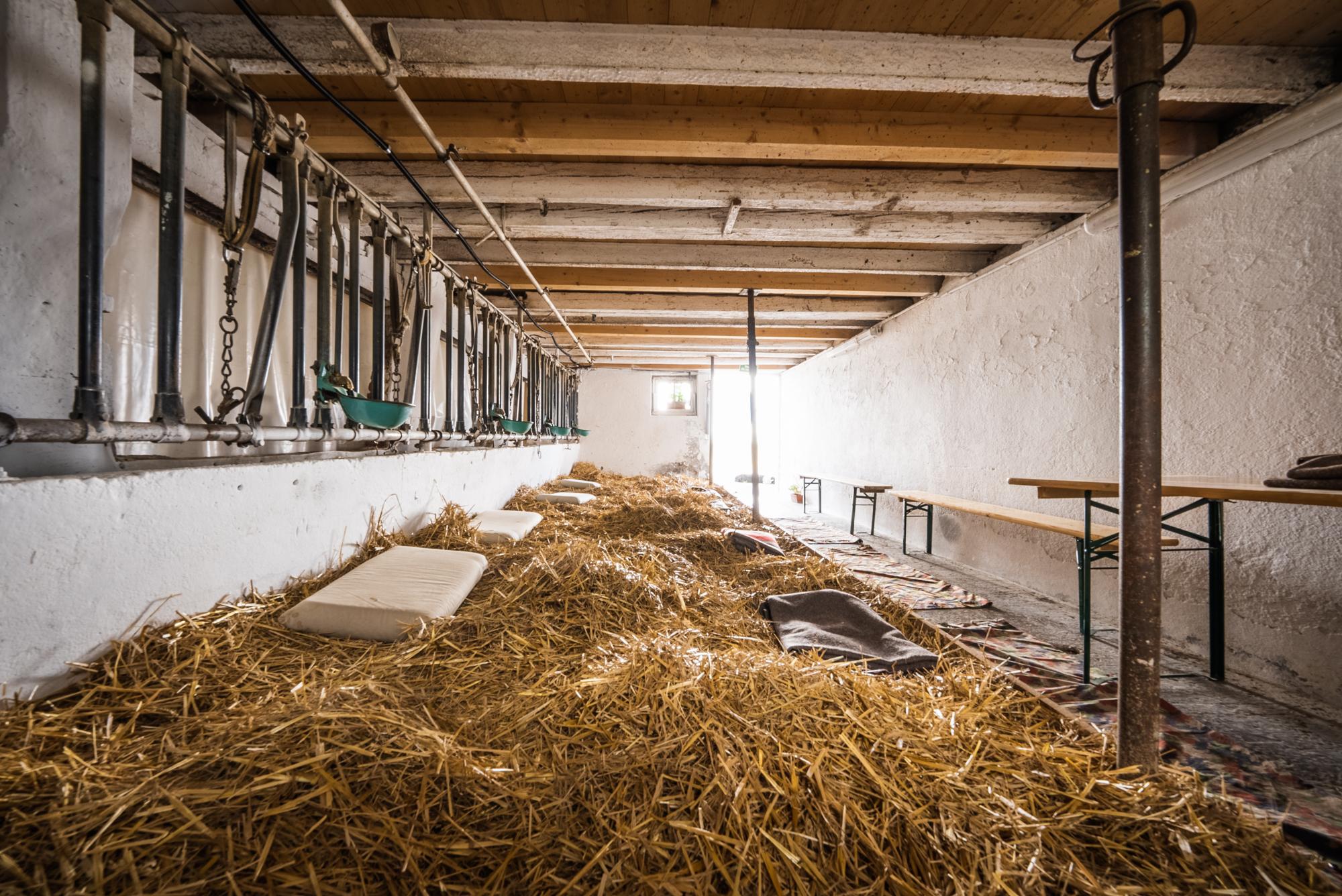 Magie de la Ferme - Dompierre