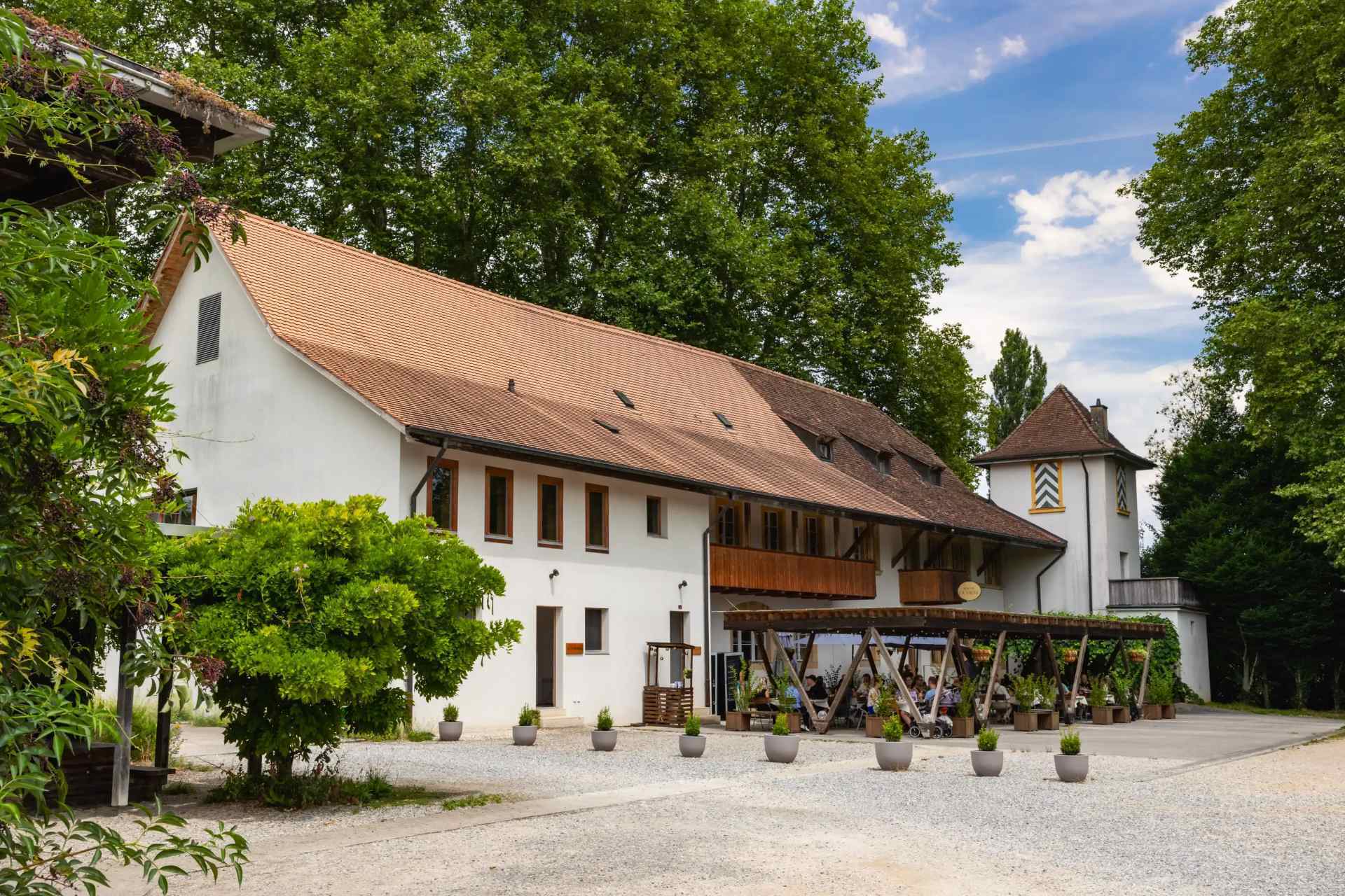 Domaine de la Sauge - Cudrefin - 2025