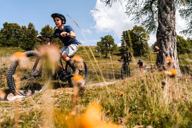 E-Bike Nendaz