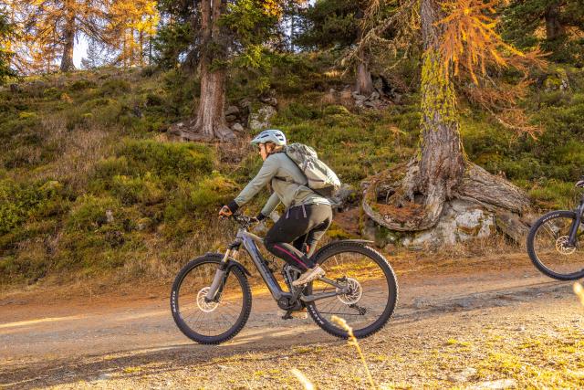 E-bike Tortin