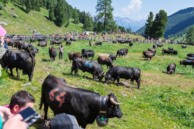 Inalpe of Tortin