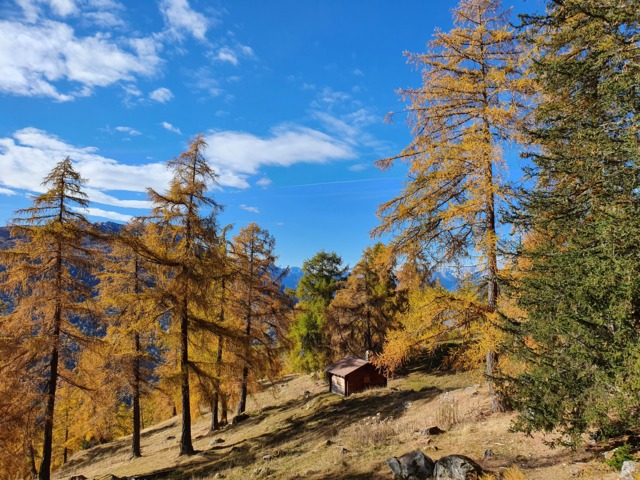 Bisse de Saxon