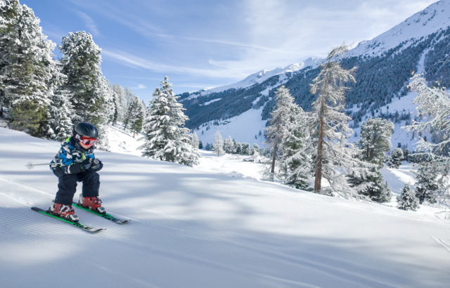 Ski Plan du Fou