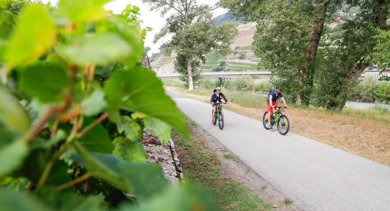 Bike sur les berges du Rhône