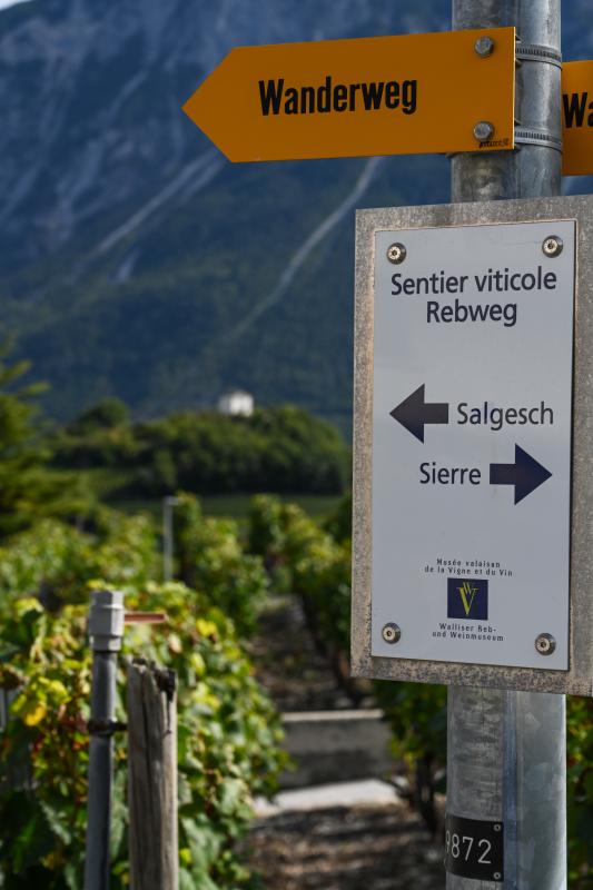 Sentier viticole - Panneaux directions