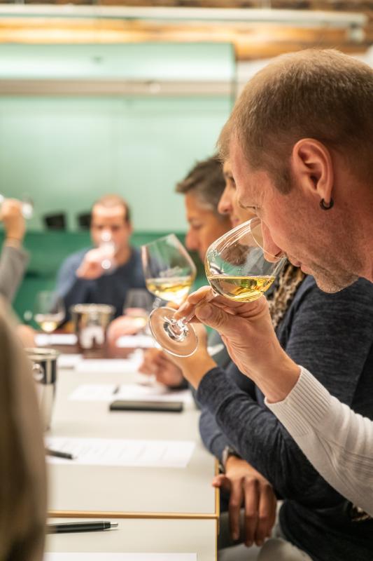 Vinum Montis - Dégustation de vin - Salgesch