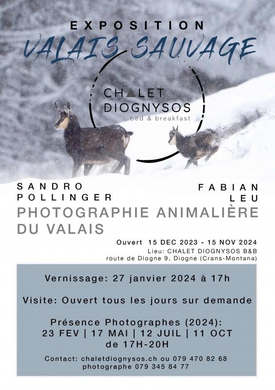 Chalet Diognysos B&B - Valais Sauvage