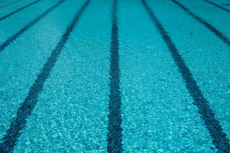 Piscine - bassin
