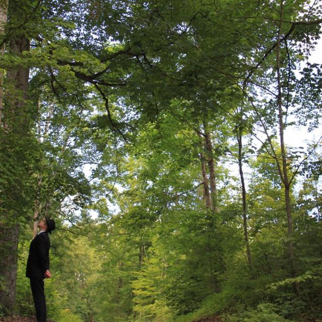 Tigre ! Tigre ! Sierre Tourisme Wallis Schweiz