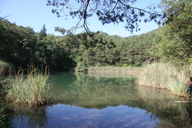 Pfyn-Finges - Fascination EAU au Bois de Finges 2024