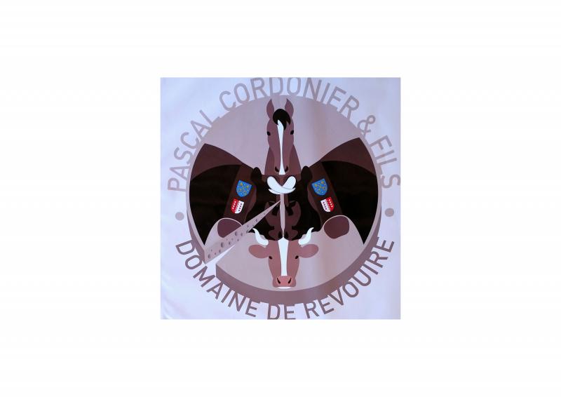 Logo CP - Domaine de Revouir