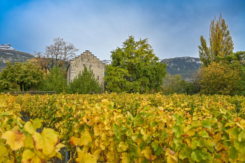 Château de Muzot