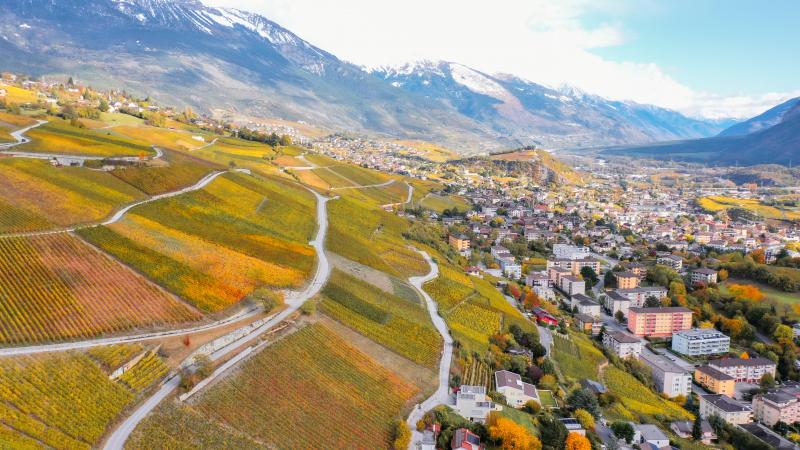 Vue sur Sierre