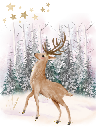 Contes de Noël BMS