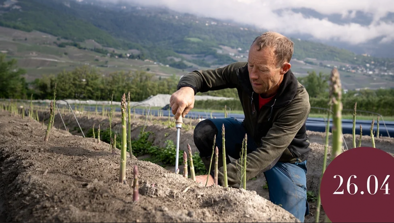 Asperges en folies