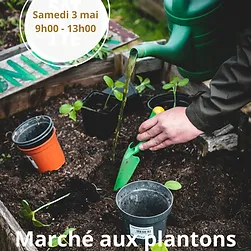 Marché aux plantons