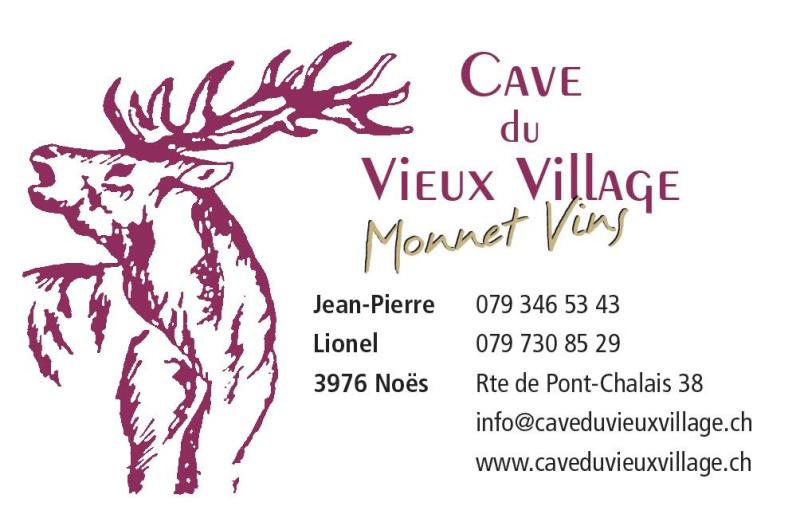 LogoVieux Village