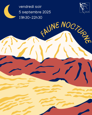 faunenocturne