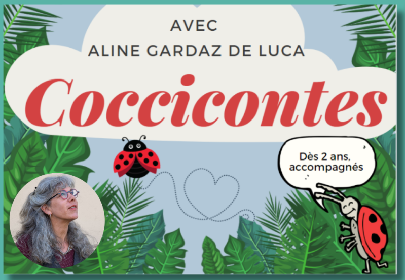 Coccicontes