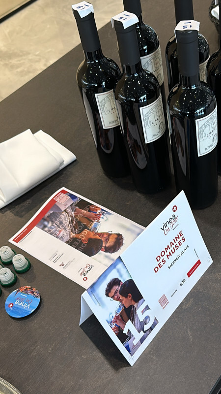 VINEA on Tour - Stand