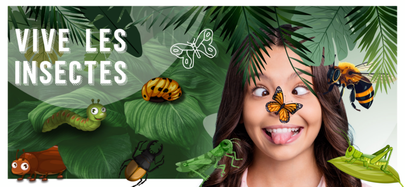 VIVE LES INSECTES