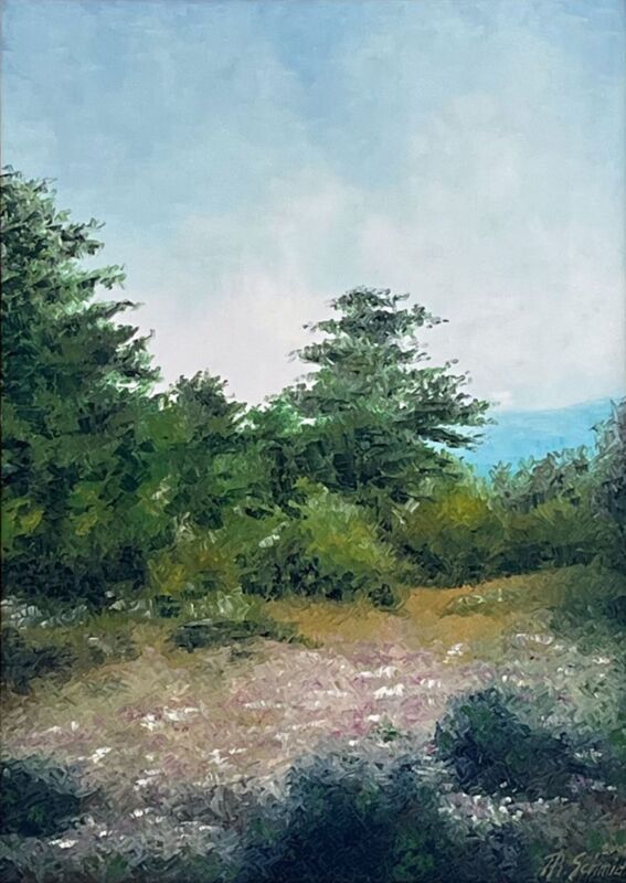 WhatsApp Image 2026-01-07 at 11.24.59