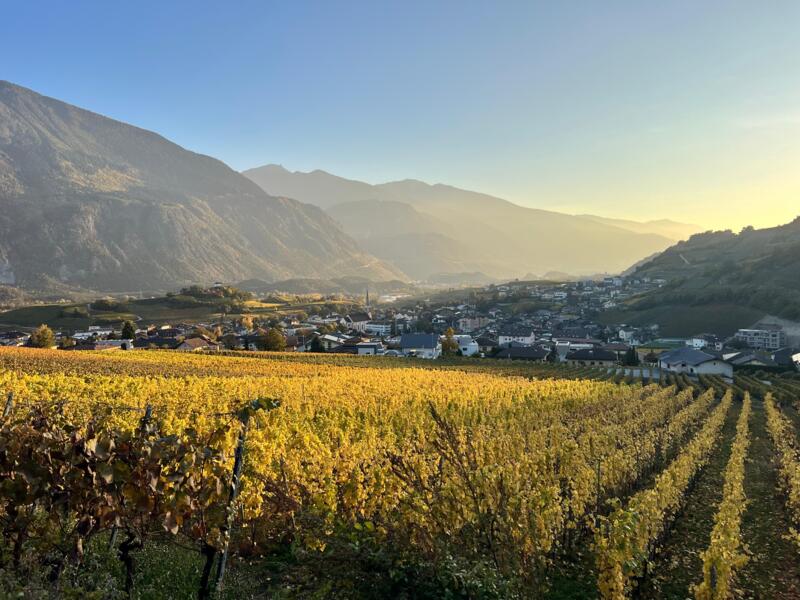 Weinwanderung Salgesch
