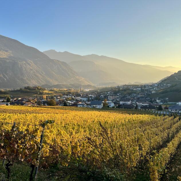 Balade des Vins Salgesch